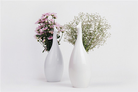 韓國孔雀創(chuàng)意花瓶(Peako vase) 韓國孔雀創(chuàng)意花瓶(Peako vase)