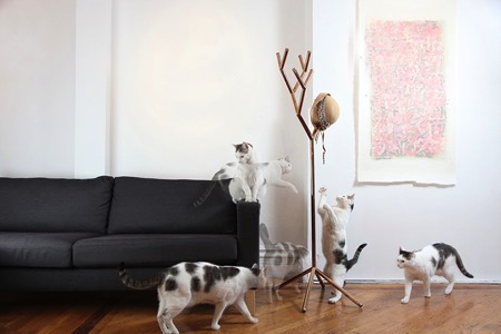 樹枝型組合創(chuàng)意衣架（Y-rack）