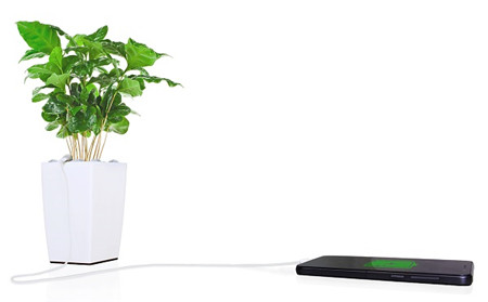 環(huán)保的創(chuàng)意盆栽充電器 環(huán)保的創(chuàng)意盆栽充電器