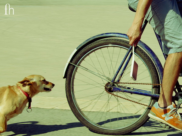 帶把手的另類創(chuàng)意iPhone手機殼-5