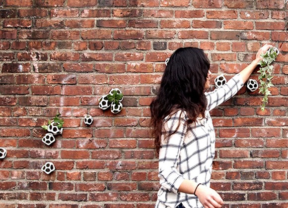 精致迷你植物盆栽3 精致迷你植物盆栽3