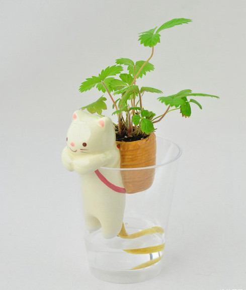 可愛卡通動物迷你吸水盆栽5