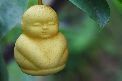能讓梨子長成娃娃形狀的塑料模具 能讓梨子長成娃娃形狀的塑料模具