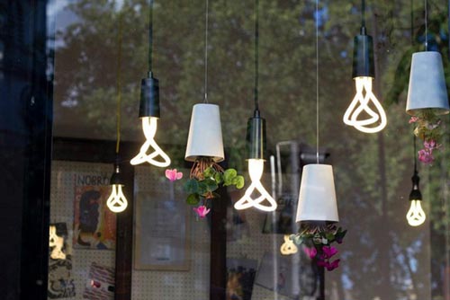 倒立的天空花園(sky planter)圖二 倒立的天空花園(sky planter)圖二