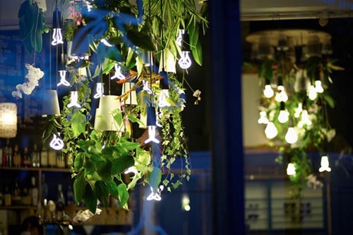 倒立的天空花園（sky planter）