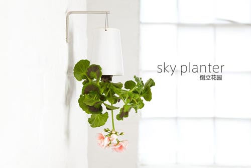 倒立的天空花園(sky planter)圖五 倒立的天空花園(sky planter)圖五