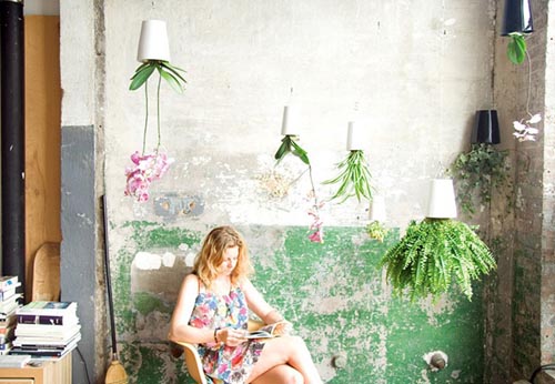 倒立的天空花園(sky planter)圖六 倒立的天空花園(sky planter)圖六