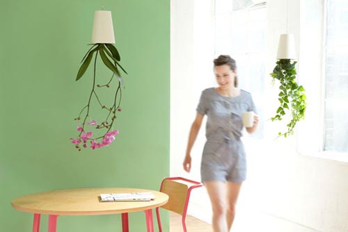 倒立的天空花園(sky planter)圖七 倒立的天空花園(sky planter)圖七