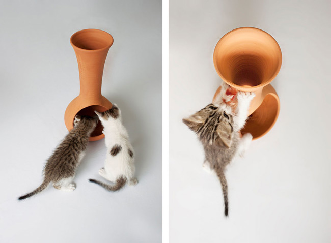 喵星人創(chuàng)意玩具欣賞 圖四 喵星人創(chuàng)意玩具欣賞 圖四