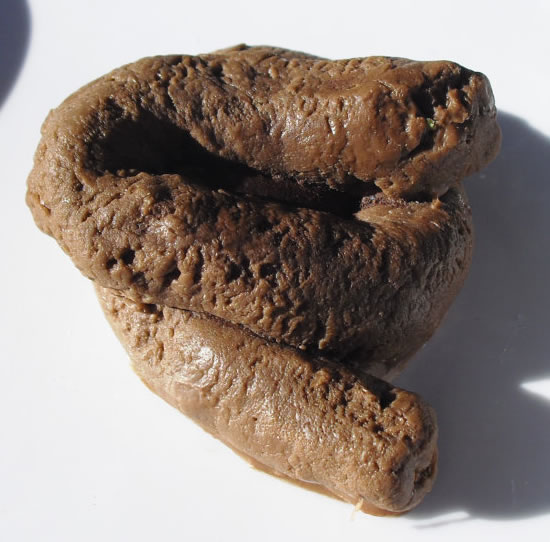 惡搞趣味便便肥皂（Doggy Doody）圖二