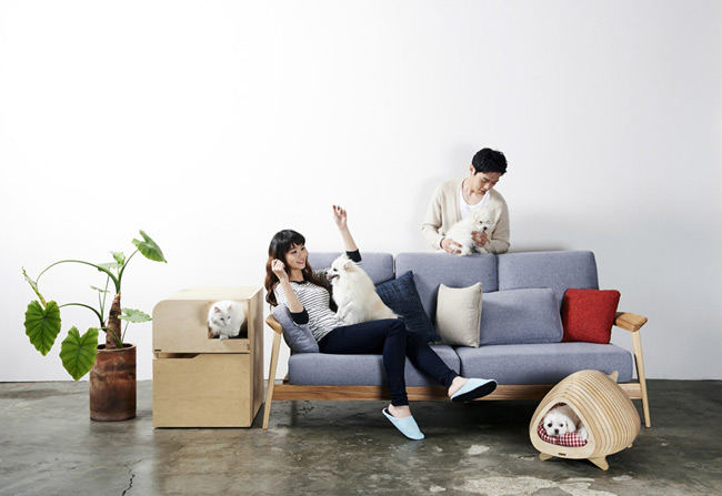 美到爆的“魚(yú)骨形寵物房” 圖二 美到爆的“魚(yú)骨形寵物房” 圖二