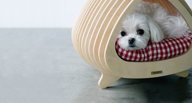 美到爆的“魚(yú)骨形寵物房” 圖四 美到爆的“魚(yú)骨形寵物房” 圖四