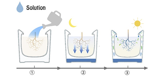 水循環(huán)迷你花盆 圖二 水循環(huán)迷你花盆 圖二