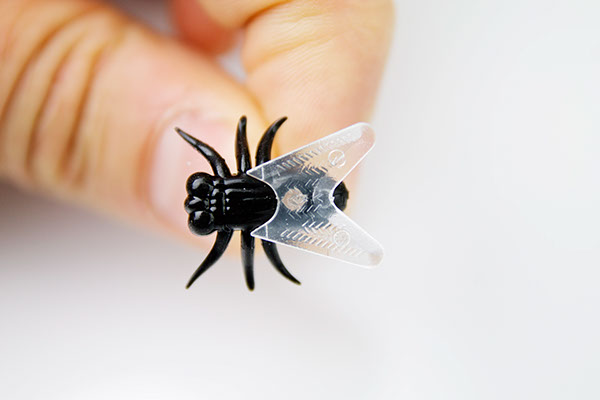別致的蒼蠅圖釘 別致的蒼蠅圖釘