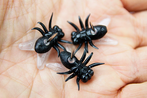 別致的蒼蠅圖釘 圖二