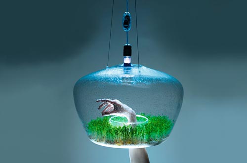 漂亮的溫室盆栽吊燈 圖四