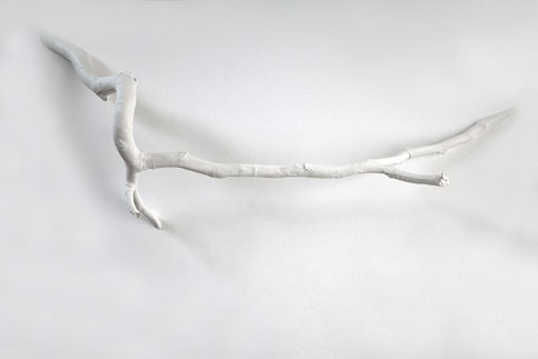 樹枝創(chuàng)意書架 圖四