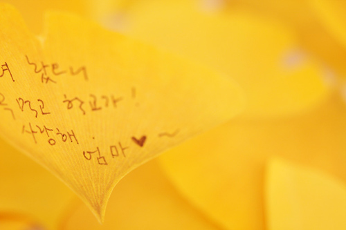 銀杏便箋紙/書(shū)簽（leaf-it gingko）圖四