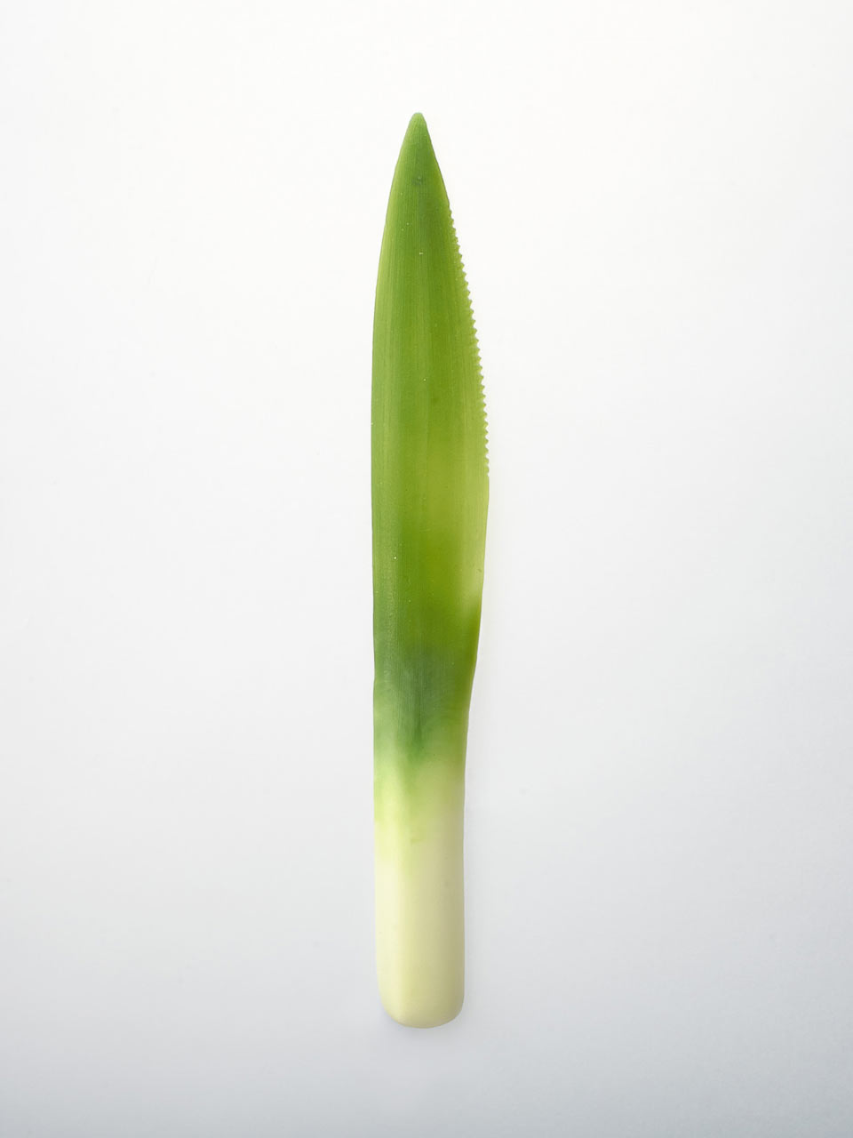 逼真的蔬菜餐具設(shè)計(jì) 圖四 逼真的蔬菜餐具設(shè)計(jì) 圖四