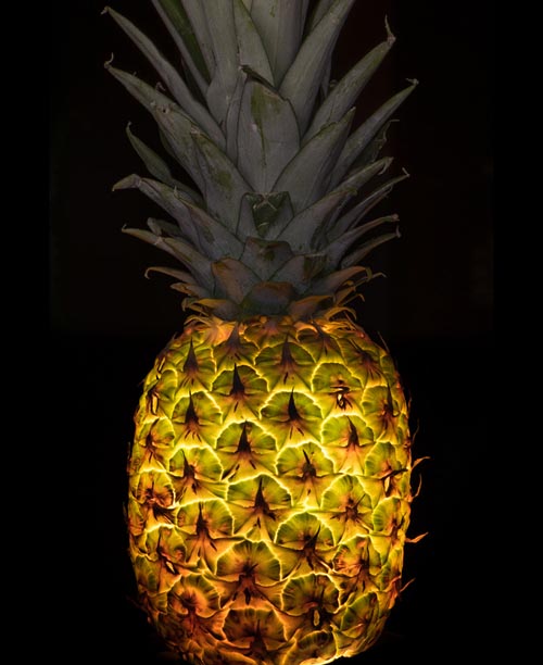 新奇蔬菜水果燈具 圖三