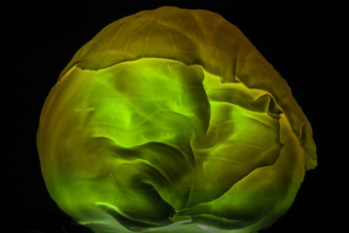 新奇蔬菜水果燈具  圖四