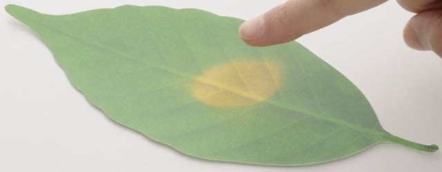 日本樹葉溫度計(jì)