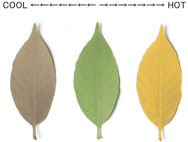 日本樹葉溫度計(jì) 圖三 日本樹葉溫度計(jì) 圖三