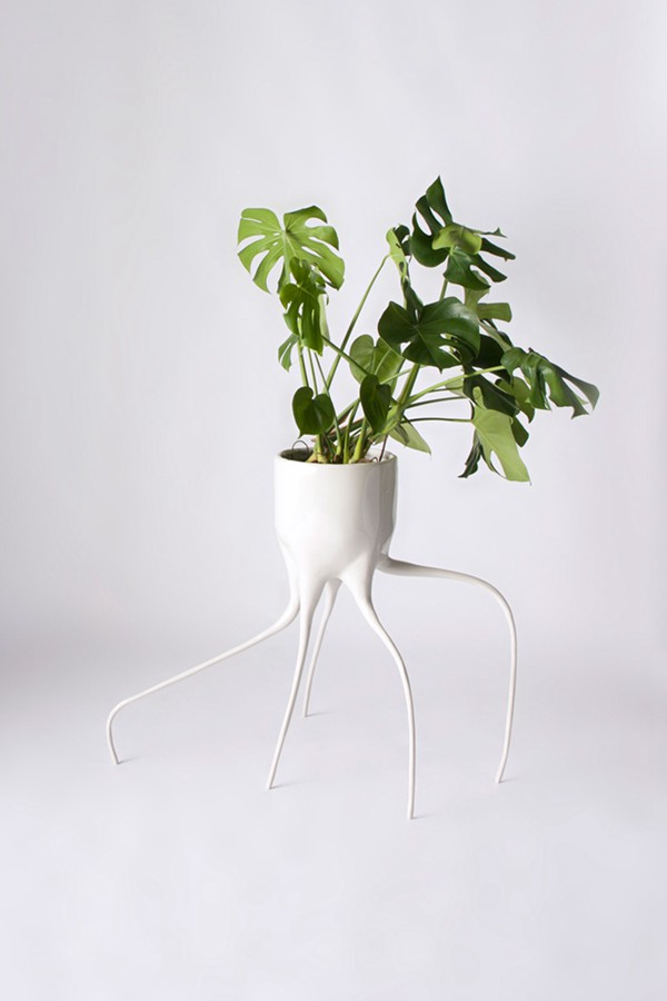 創(chuàng)意長腿花盆設計(Tim de Weerd)