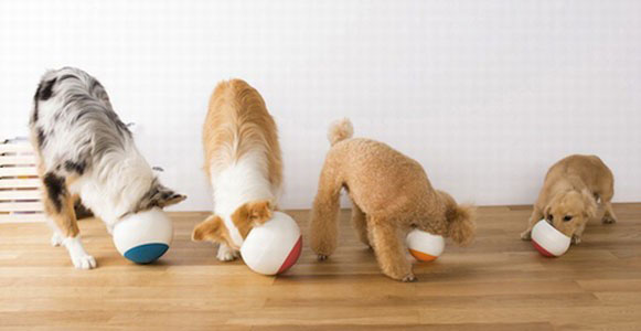 日本不倒翁創(chuàng)意寵物碗設計（Oppo Food Ball）