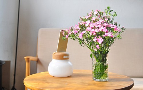 能為iPhone手機充電的創(chuàng)意臺燈(Mushroom lamp) 圖六 能為iPhone手機充電的創(chuàng)意臺燈(Mushroom lamp) 圖六