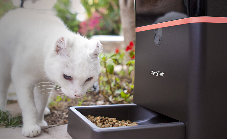 PETNET 智能寵物喂食器（Smart feeder）