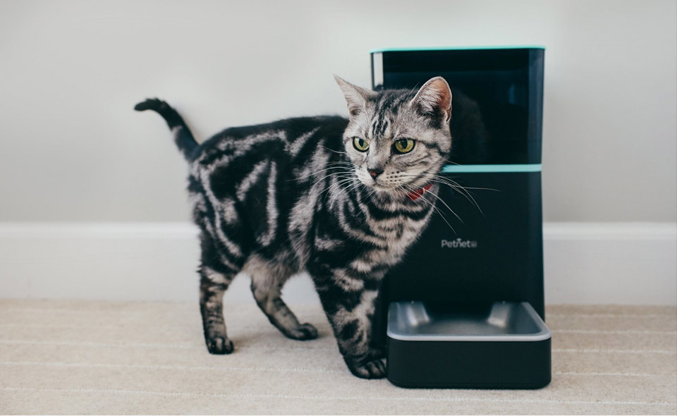 PETNET 智能寵物喂食器（Smart feeder）